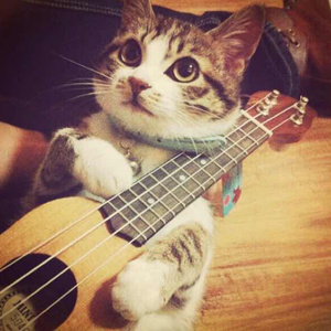 王李丹妮祼体激情视频
